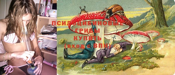 ешки Зеленокумск