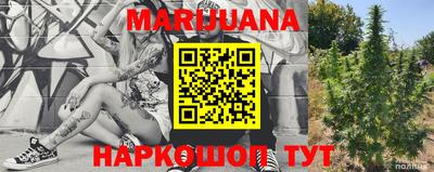 сатива Аргун