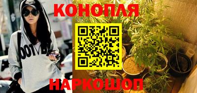 сатива Аргун