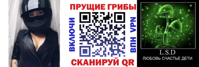 Купить  Волжский  Галлюциногенные грибы Cubensis 