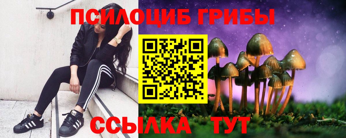 Галлюциногенные грибы MAGIC MUSHROOMS Волжский