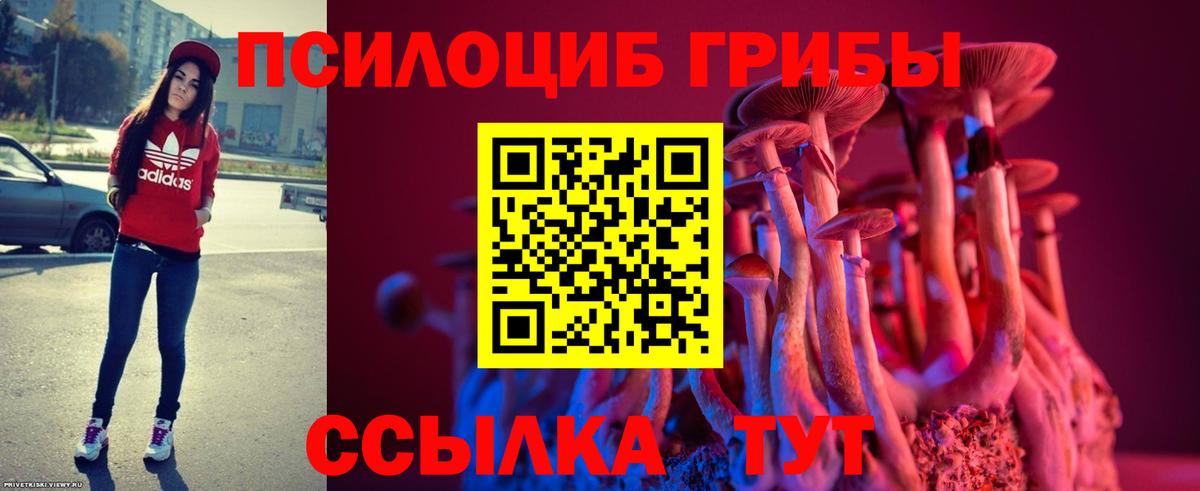 Волжский  Псилоцибиновые грибы мицелий  Галлюциногенные грибы ЛСД  Вход с VPN 